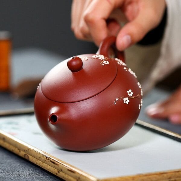 Xishi plum blossom teapot