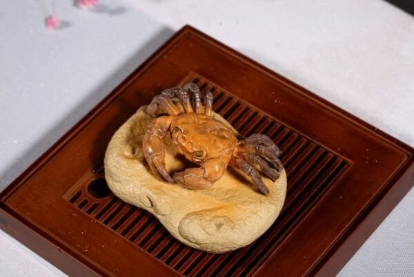 Color Changing Red Crab Tea Pet - Image 9