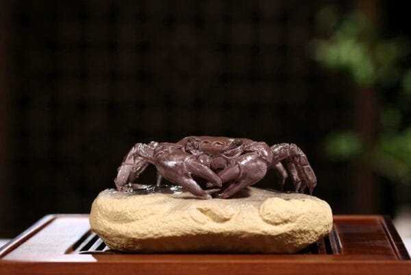 Color Changing Red Crab Tea Pet - Image 2